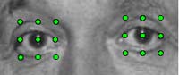 Eye Localization for Face Recognition - Terry Riopka