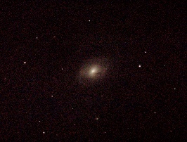 M96 - NGC3368 by Terry Riopka