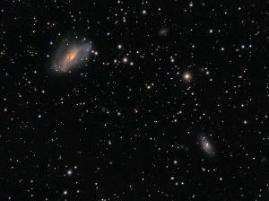 NGC2146 - Starburst Spiral Galaxy  by Terry Riopka