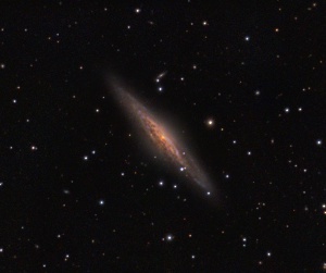 NGC2683 - UFO Galaxy  by Terry Riopka