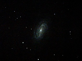 NGC2903 - Barred Sprial Galaxy  by Terry Riopka