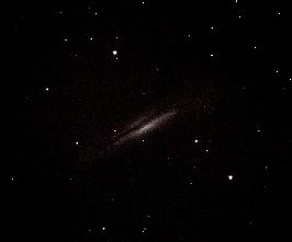 NGC3628 - Sarahs Galaxy  by Terry Riopka