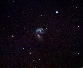 NGC4038 - Antennae Galaxies  by Terry Riopka
