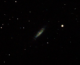 NGC6503 - Dwarf Spiral Galaxy  by Terry Riopka