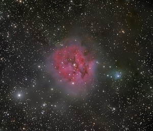 IC5146 - C c n Nebula  by Terry Riopka