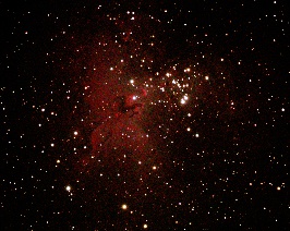 M16 - Eagle Nebula  by Terry Riopka