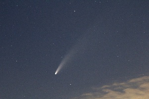 Comet-C2020-F3 - Comet Neowise 2  by Terry Riopka